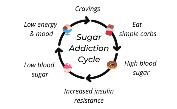 Sugar Addiciton Cycle